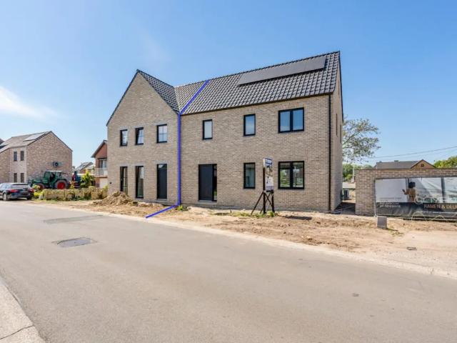 Maison vente à Maaseik, Limburg