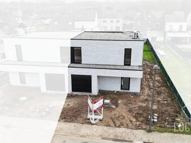 Maison vente à Ninove, Oost-Vlaanderen