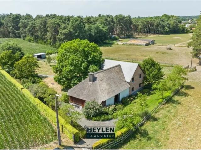 Maison vente à Herentals, Antwerpen