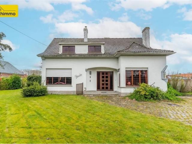 Maison vente à Pecq, Wallonie