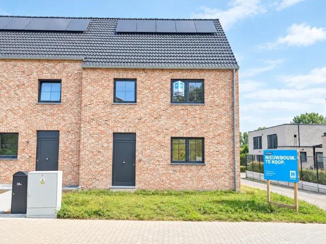 Maison vente à Oetingen, Pajottegem