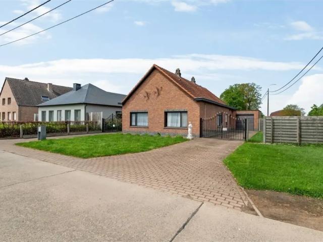 Maison vente à Sint-katelijne-waver, Antwerpen