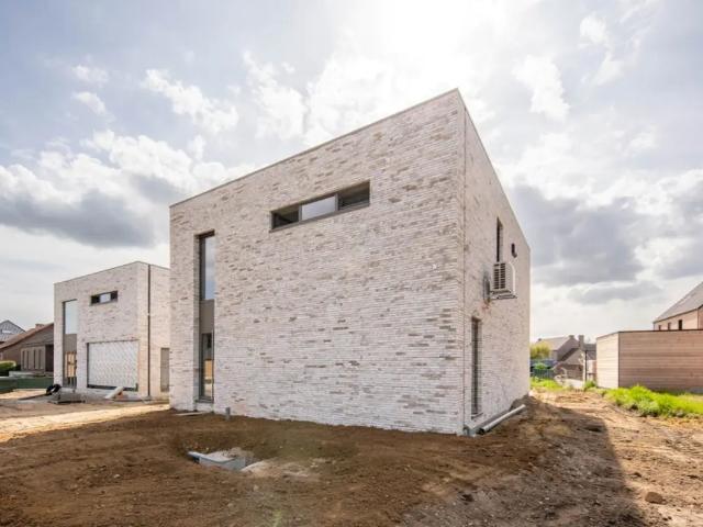 Maison vente à Opglabbeek, Limburg