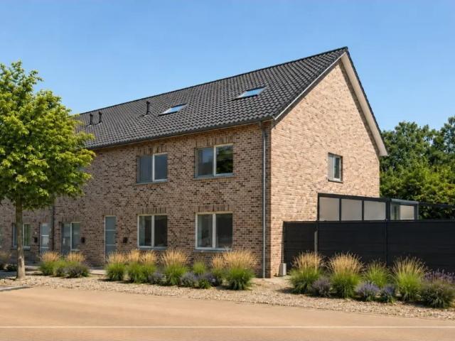 Maison vente à Maaseik, Limburg