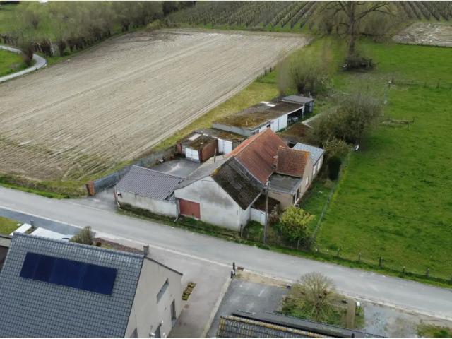 Maison vente à Opwijk, Brabant