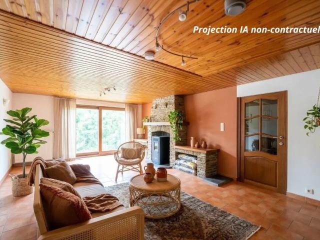 Maison vente à Vresse, Wallonie