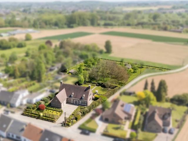 Maison vente à Ninove, Oost-Vlaanderen