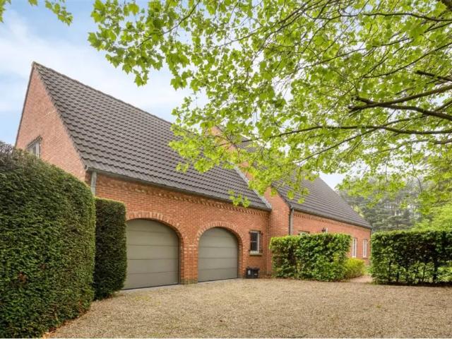Maison vente à Overijse, Brabant