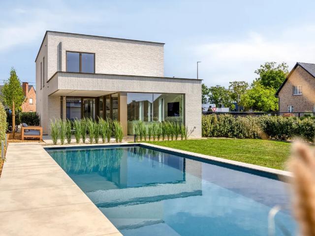 Maison vente à Beringen, Limburg