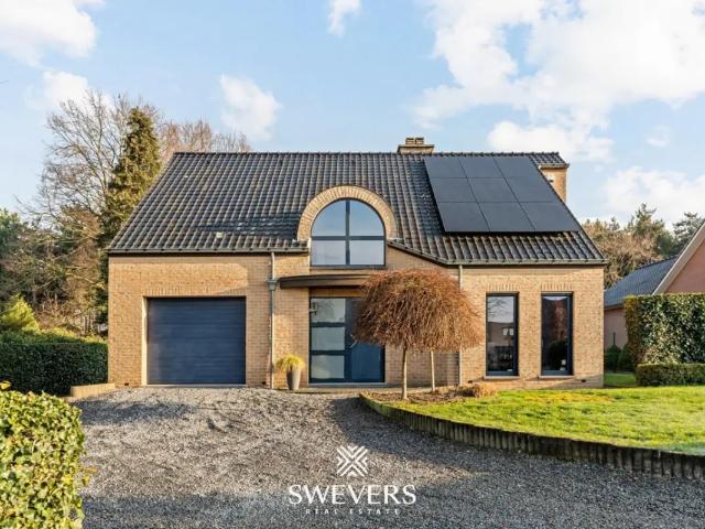 Maison vente à Beringen, Limburg