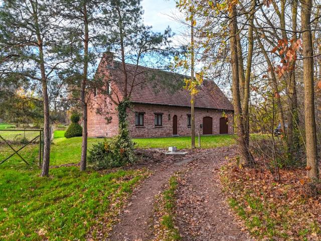 Maison vente à Beringen, Limburg