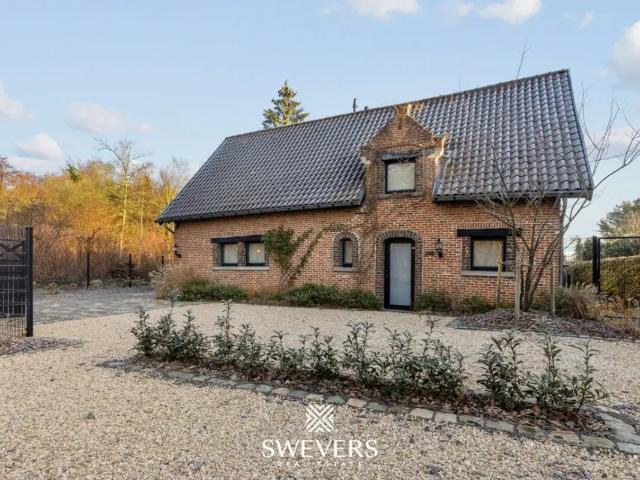 Maison vente à Beringen, Limburg