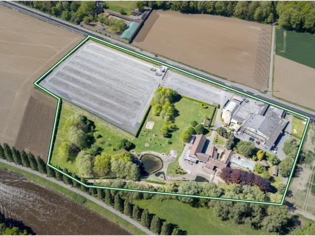 Maison vente à Pecq, Wallonie