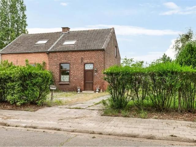 Maison vente à Overpelt, Limburg