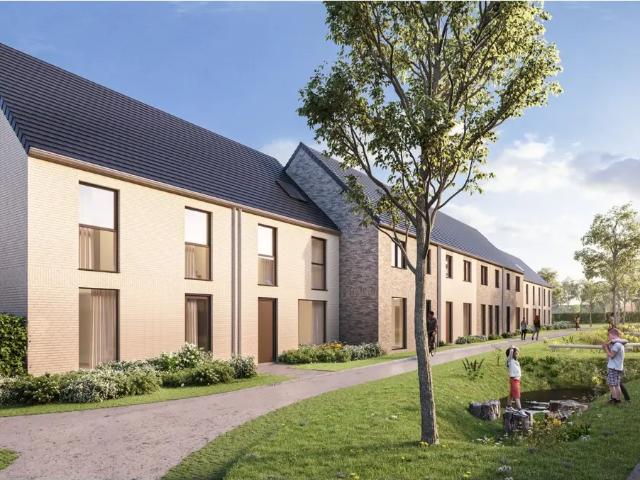 Maison vente à Pittem, West-Vlaanderen