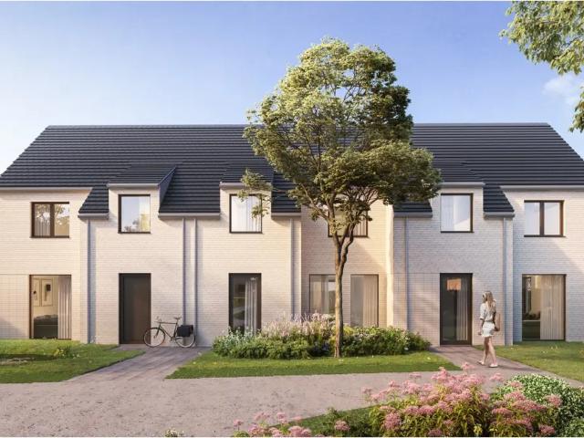 Maison vente à Pittem, West-Vlaanderen