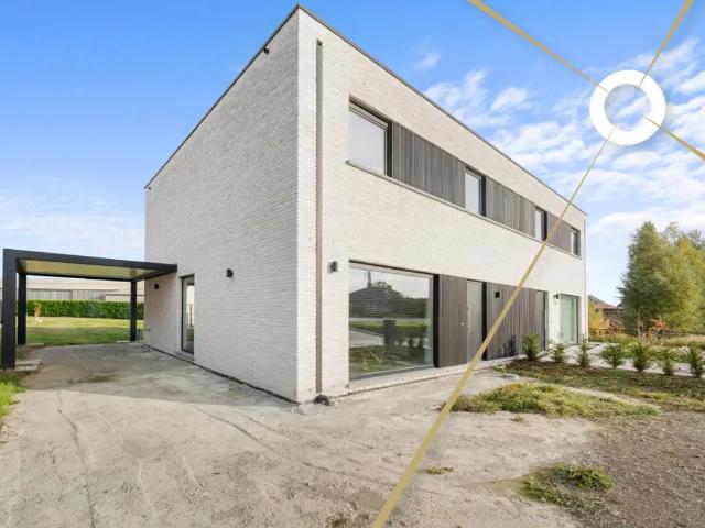 Maison vente à Poperinge, West-Vlaanderen