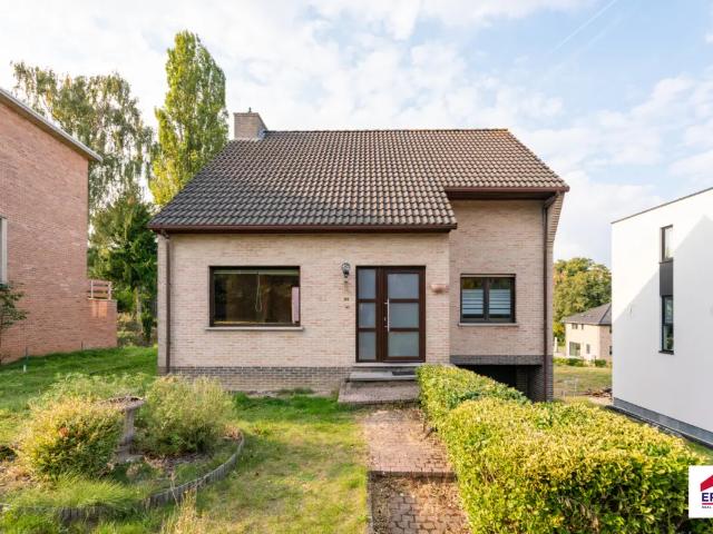Maison vente à Beersel, Brabant