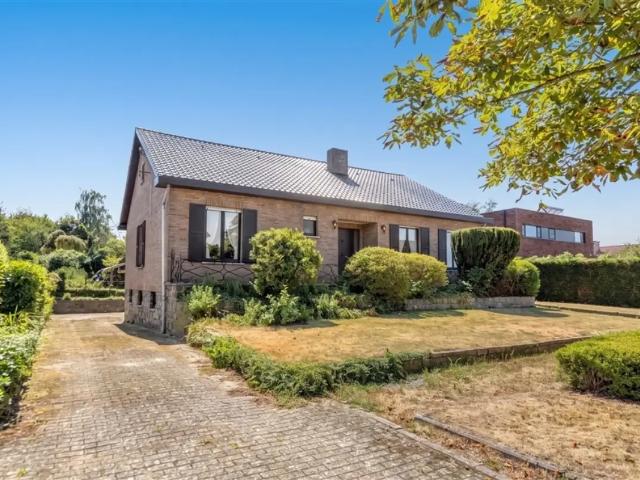 Maison vente à Montaigu-zichem, Brabant