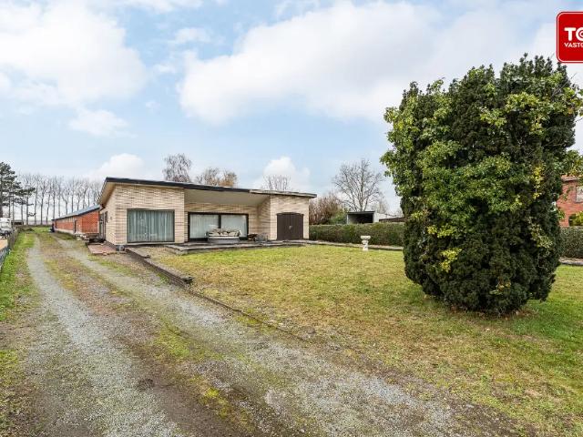 Maison vente à Sint-laureins, Oost-Vlaanderen