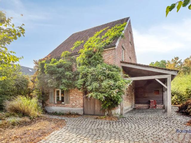 Maison vente à Ham, Limburg