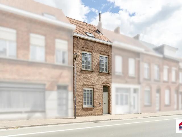 Maison vente à Tielt, West-Vlaanderen