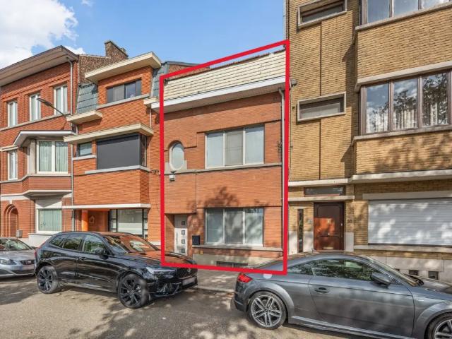 Maison vente à Tienen
