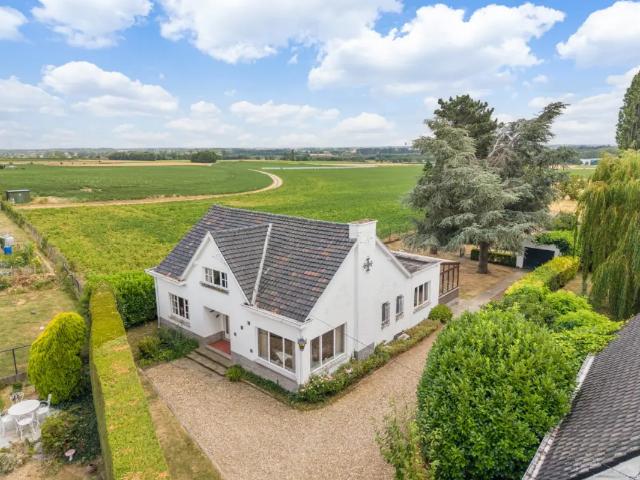 Maison vente à Tienen, Brabant