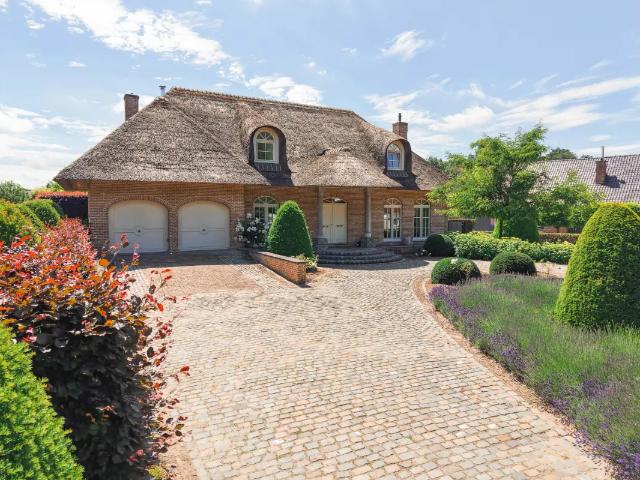 Maison vente à Tremelo, Brabant