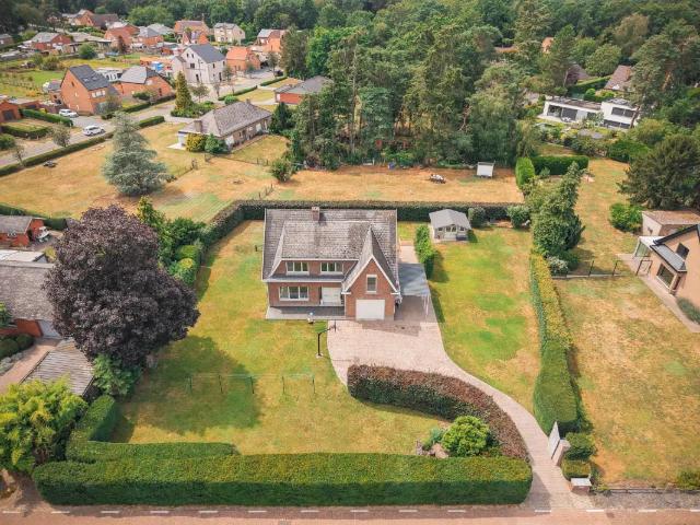 Maison vente à Tremelo, Brabant