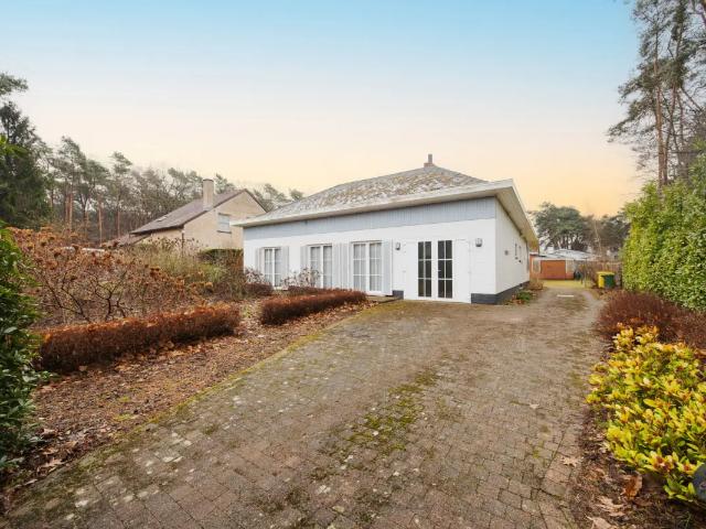 Maison vente à Tremelo, Brabant