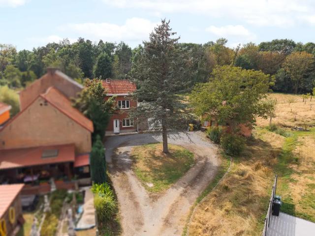 Maison vente à Tremelo, Brabant