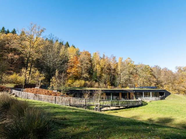 Maison vente à Gedinne, Wallonie