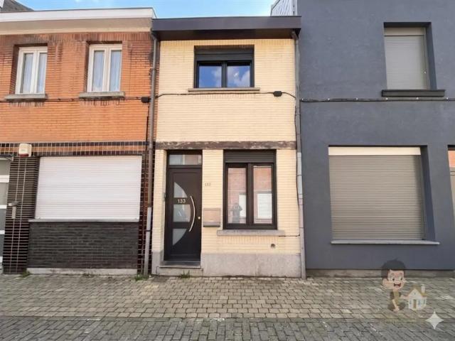 Maison vente à Vilvoorde, Brabant