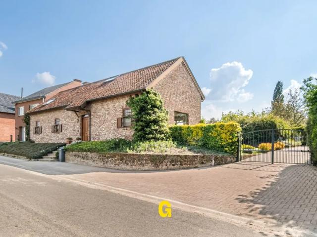 Maison vente à Hasselt, Limburg