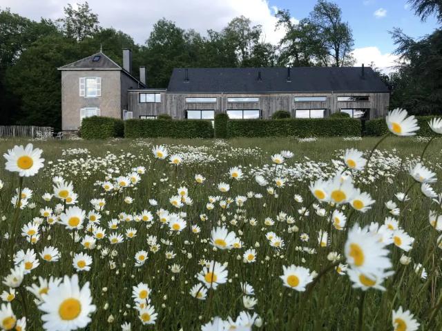 Maison vente à Vresse, Wallonie