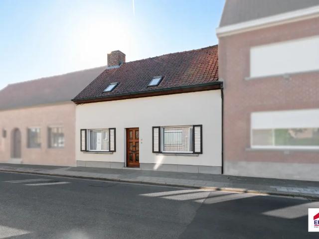 Maison vente à Dentergem, West-Vlaanderen