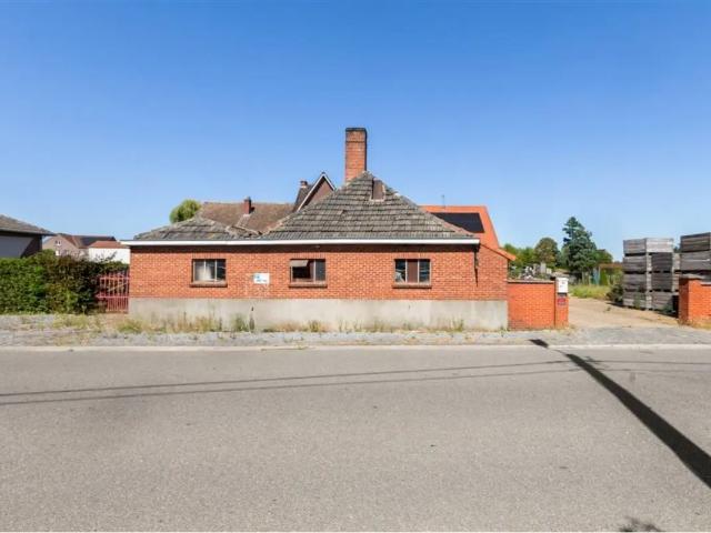 Maison vente à Wellen, Limburg