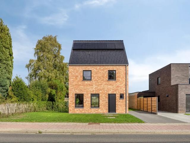 Maison vente à Westerlo, Antwerpen