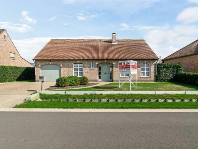 Maison vente à Westerlo, Antwerpen