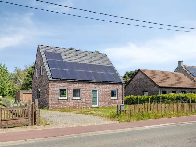 Maison vente à Westerlo, Antwerpen