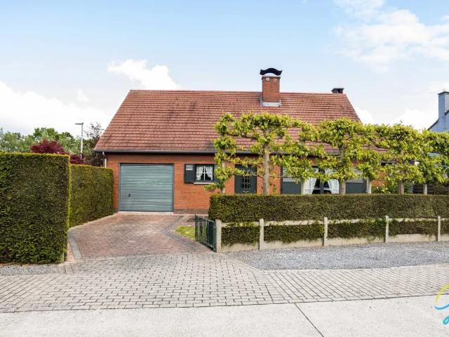 Maison vente à Wichelen, Oost-Vlaanderen