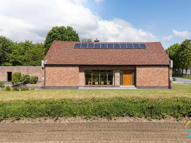 Maison vente à Wichelen, Oost-Vlaanderen