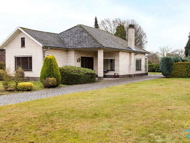 Maison vente à Wichelen, Oost-Vlaanderen
