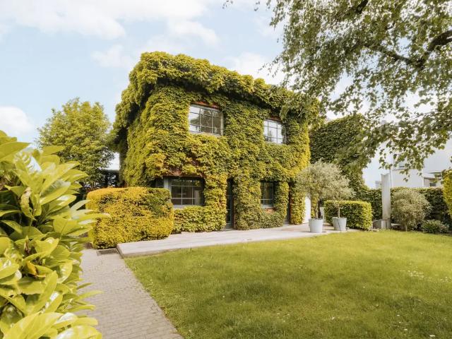 Maison vente à Antwerpen
