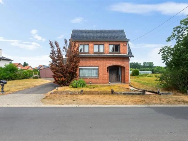 Maison vente à Haelen, Limburg