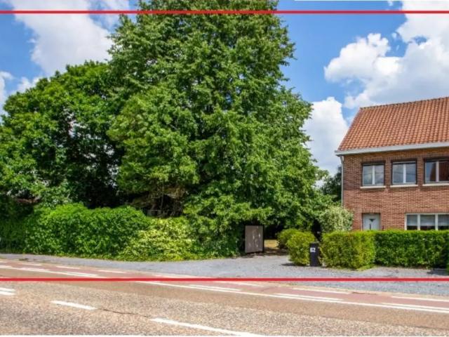 Maison vente à Zonhoven, Limburg