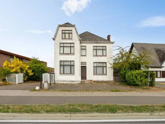 Maison vente à Zonhoven, Limburg