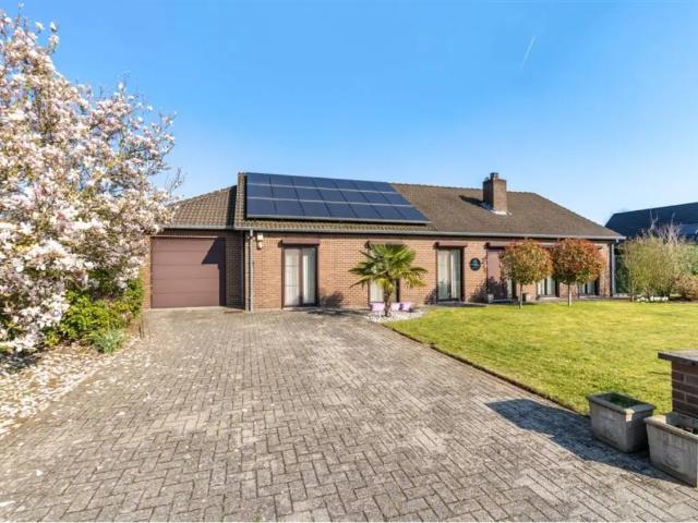 Maison vente à Zonhoven, Limburg