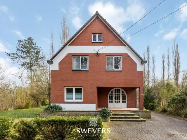 Maison vente à Zonhoven, Limburg